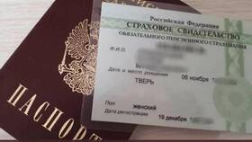 Что могут сделать, зная номер СНИЛС в Tescoma