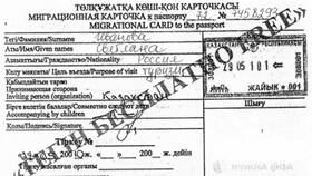 Что такое миграционная виза в Tescoma
