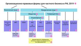 Что такое организационно-правовая форма юридического лица