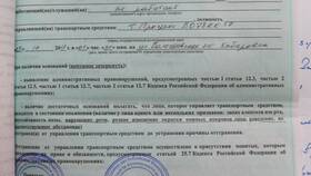 Что такое протокол и постановление ГИБДД в Tescoma