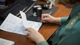 Что значит таможенная декларация в Tescoma
