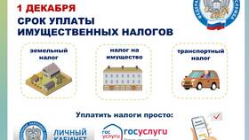 Как оплатить налоги через личный кабинет налогоплательщика в Tescoma