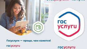 Как подать заявление на социальную карту через Госуслуги в Tescoma