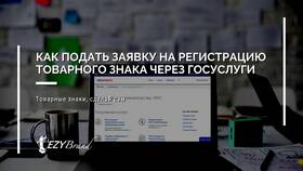 Как подать заявление на учет через портал Госуслуги в Tescoma