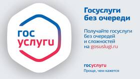 Как получить доступ к ЕСИА через Госуслуги в Tescoma