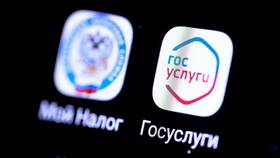 Как получить налоговый вычет через Госуслуги в Tescoma
