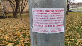 Как позвонить Диме в Tescoma