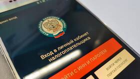 Как проверить долги ИП по ИНН в Tescoma