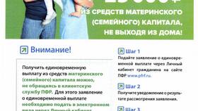 Как сдать отчет в Пенсионный фонд России (ПФР) в Tescoma