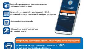 Как войти в личный кабинет налогоплательщика через Госуслуги в Tescoma