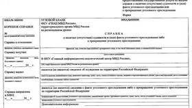 Как выглядит справка об отсутствии судимости через Госуслуги в Tescoma