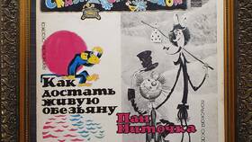 Как заказать Йоту в Tescoma
