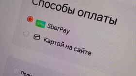Почему Додо Пицца временно закрыла доставку