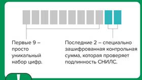Расшифровка СНИЛС: что означает этот идентификатор в Tescoma