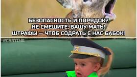 Штраф за наезд на оленя: правовые последствия