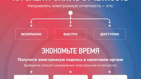 Справка о том, что организация является плательщиком НДС в Tescoma
