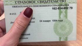 Страховой номер пенсионного фонда: что это в Tescoma