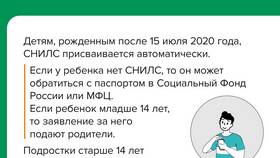 Зачем нужен СНИЛС ребенку в Tescoma