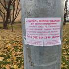 Как позвонить Диме