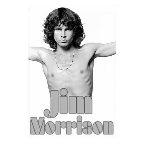 Постер СТ-Диалог Jim Morrison, МУЗ-314, лам.бумага, 60х90 см в Tescoma